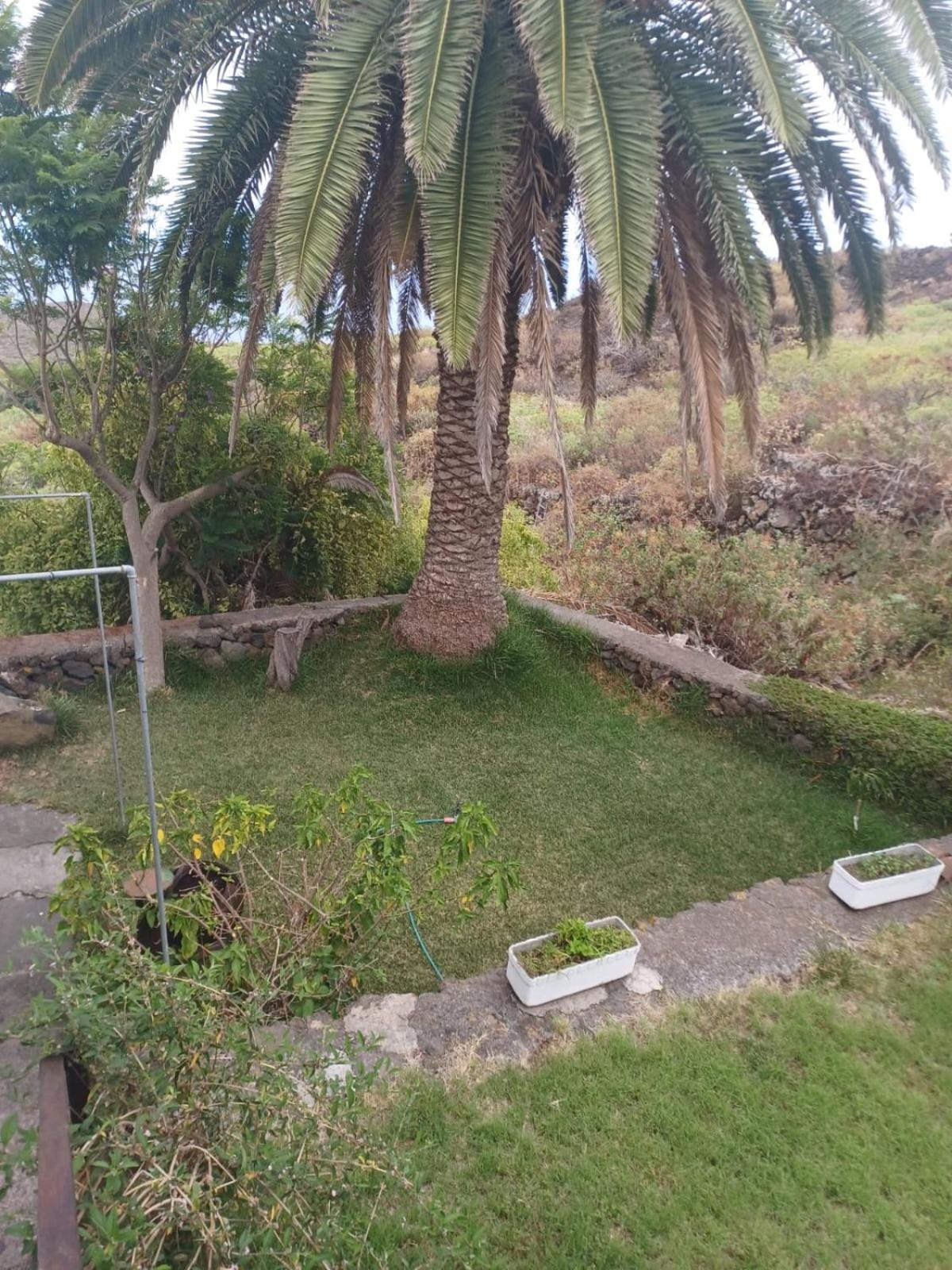 Casa Rural El Olivo De Mazo Bagian luar foto