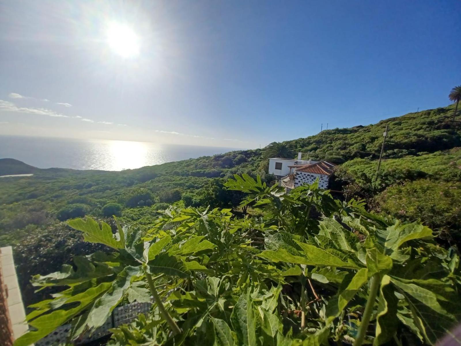 Casa Rural El Olivo De Mazo Bagian luar foto