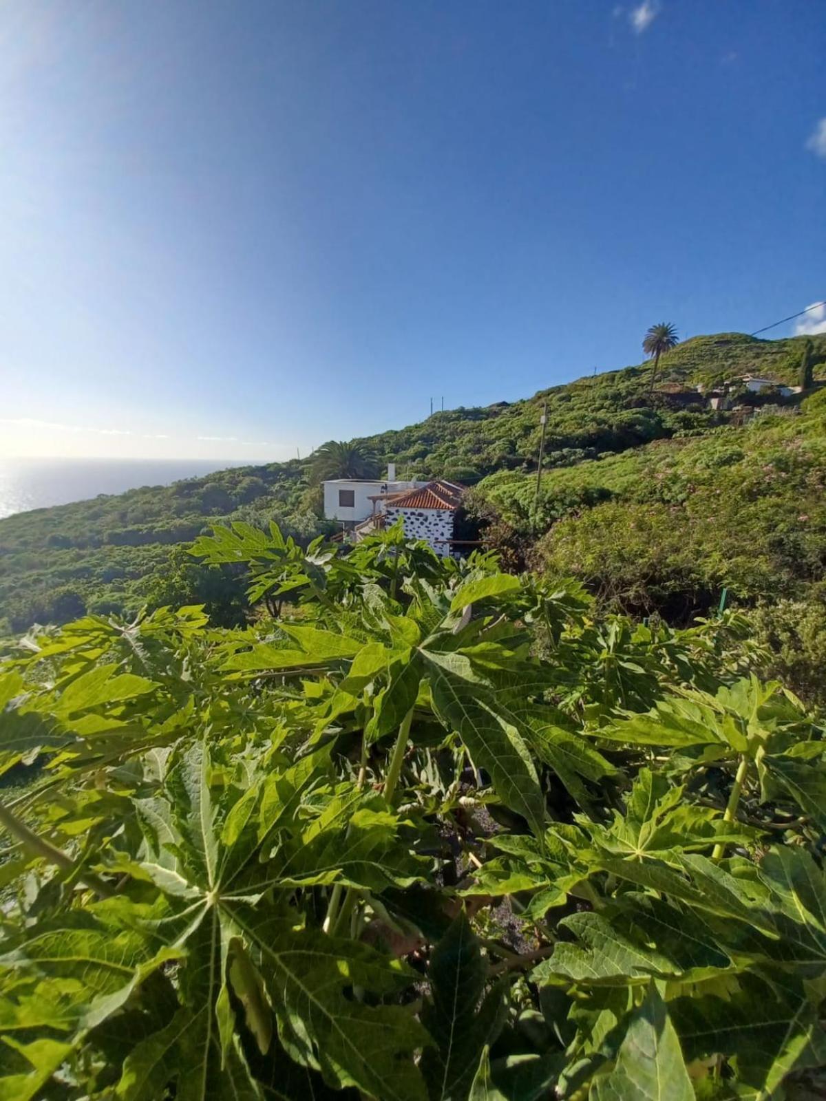 Casa Rural El Olivo De Mazo Bagian luar foto